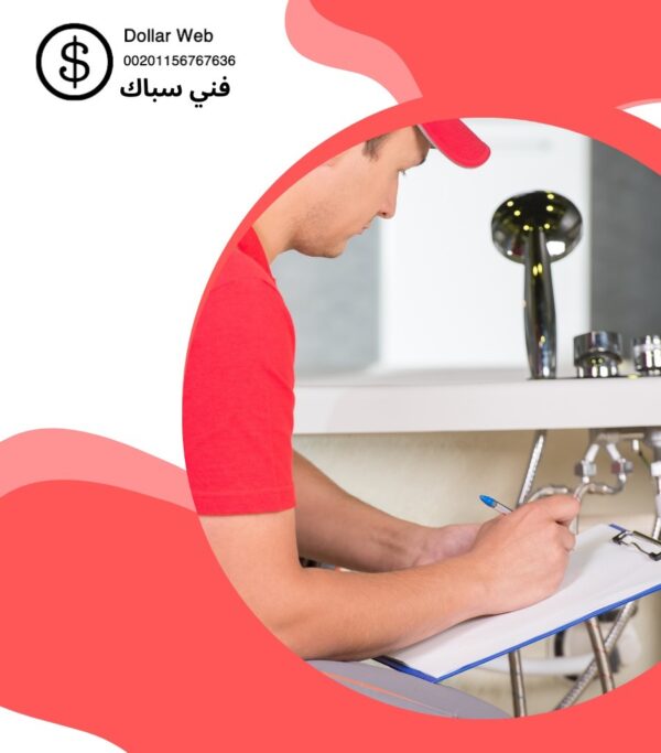 فنى صحى بحولى